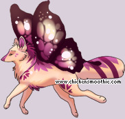 Pet