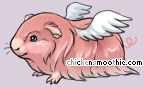 Pet