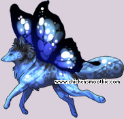 Pet