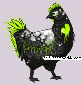 Pet