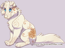 Pet
