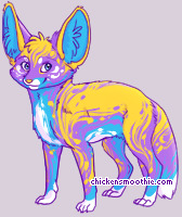 Pet