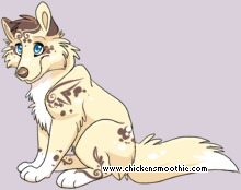 Pet