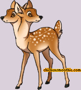 Pet