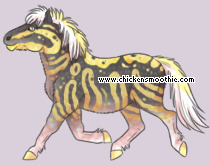 Pet