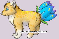 Pet