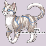 Pet