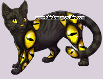 Pet