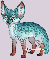 Pet