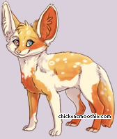 Pet