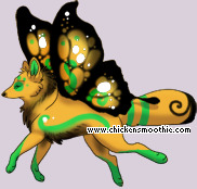 Pet