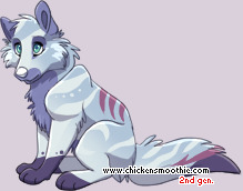 Pet