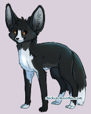 Pet