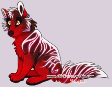 Pet