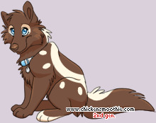 Pet