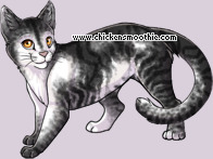 Pet