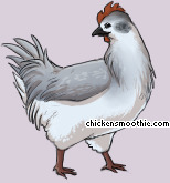 Pet