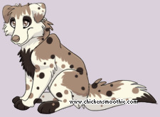 Pet