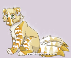 Pet