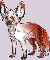 Pet