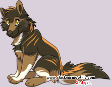 Pet