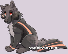 Pet