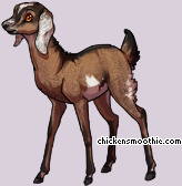 Pet
