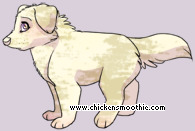 Pet