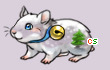 Pet