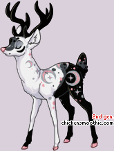 Pet