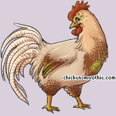 Pet