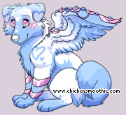 Pet