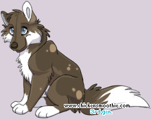 Pet