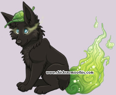 Pet