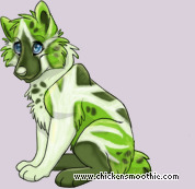 Pet