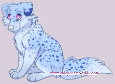 Pet