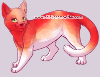 Pet