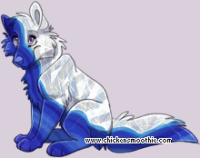 Pet
