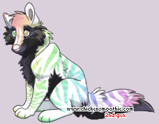 Pet
