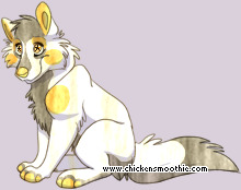 Pet