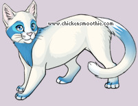 Pet
