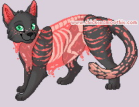 Pet