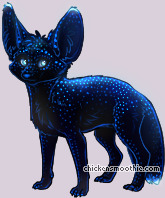 Pet