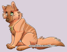 Pet