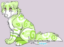 Pet