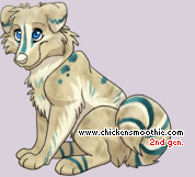 Pet
