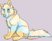 Pet