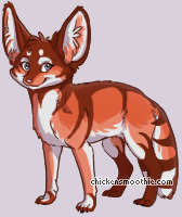 Pet