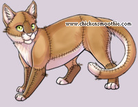 Pet