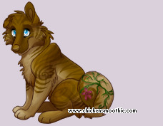 Pet